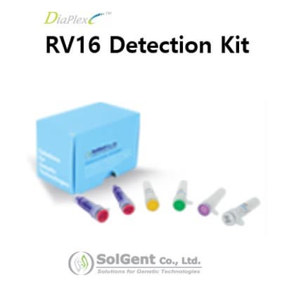 RV16 Detection Kit